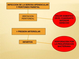 INFECCION DE LA SEROSA APENDICULAR
       Y PERITONEO PARIETAL



           IRRITACION                DOLOR SOMATICO
           PERITONEAL                EN EL CUADRANTE
                                         INFERIOR
                                         DERECHO



       > PRESION ARTERIOLAR




            INFARTOS                 PERFORACION POR
                                     LA PROLIFERACION
                                        BACTERIANA
 