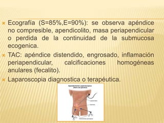    Ecografía (S=85%,E=90%): se observa apéndice
    no compresible, apendicolito, masa periapendicular
    o perdida de la continuidad de la submucosa
    ecogenica.
   TAC: apéndice distendido, engrosado, inflamación
    periapendicular,     calcificaciones homogéneas
    anulares (fecalito).
   Laparoscopia diagnostica o terapéutica.
 