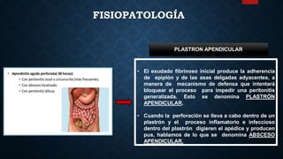• El exudado fibrinoso inicial produce la adherencia
de epiplón y de las asas delgadas adyacentes, a
manera de mecanismo de defensa que intentará
bloquear el proceso para impedir una peritonitis
generalizada. Esto se denomina PLASTRÓN
APENDICULAR.
• Cuando la perforación se lleva a cabo dentro de un
plastrón y el proceso inflamatorio e infeccioso
dentro del plastrón digieren el apédice y producen
pus, hablamos de lo que se denomina ABSCESO
APENDICULAR.
PLASTRON APENDICULAR
FISIOPATOLOGÍA
 