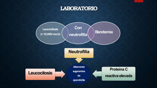 LABORATORIO
Leucocitosis
(>10,000/mm3)
Con
neutrofilia
Bandemia
Altamente
sugerentes
de
apendicitis
Leucocitosis
Neutrofilia
Proteína C
reactiva elevada
 