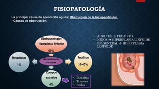 La principal causa de apendicitis aguda: Obstrucción de la luz apendicular.
• Causas de obstrucción:
Generalmente
4 causas
Obstrucciónpor
hiperplasia linfoide
60%
Fecalitos
35-40%
Cuerpos
extraños
4%
Neoplasias
1%
FISIOPATOLOGÍA
• ADULTOS  FECALITO
• NIÑOS  HIPERPLASIA LINFOIDE
• EN GENERAL  HIPERPLASIA
LINFOIDE
• Parásitos
• Tumores
• Bridas
 