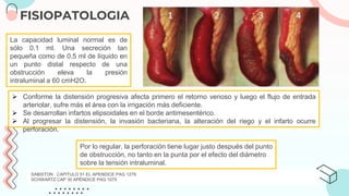 FISIOPATOLOGIA
La capacidad luminal normal es de
sólo 0.1 ml. Una secreción tan
pequeña como de 0.5 ml de líquido en
un punto distal respecto de una
obstrucción eleva la presión
intraluminal a 60 cmH2O.
SABISTON CAPITULO 51 EL APENDICE PAG 1279
SCHWARTZ CAP 30 APÉNDICE PAG 1075
 Conforme la distensión progresiva afecta primero el retorno venoso y luego el flujo de entrada
arteriolar, sufre más el área con la irrigación más deficiente.
 Se desarrollan infartos elipsoidales en el borde antimesentérico.
 Al progresar la distensión, la invasión bacteriana, la alteración del riego y el infarto ocurre
perforación.
Por lo regular, la perforación tiene lugar justo después del punto
de obstrucción, no tanto en la punta por el efecto del diámetro
sobre la tensión intraluminal.
 