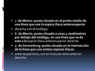  7- de Monro: punto situado en el punto medio de
    una línea que une la espina iliaca anterosuperior
   derecha con el ombligo.
   8- de Morris: punto situado a unos 4 centímetros
    por debajo del ombligo, en una línea que va de
    este a la espina iliaca anterosuperior derecha.
   9- de Sonnerburg: punto situado en la intersección
    de la línea que une ambas espinas iliacas
   anterosuperiores, con el músculo recto anterior
    derecho
 