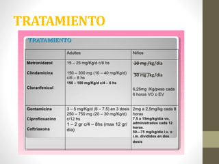 TRATAMIENTO
30 mg /kg/día
30 mg /kg/día
 