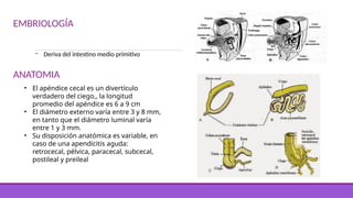 apendicitis tratamiento natural o mejor es prevenir | PPTX