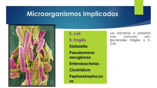 Microorganismos Implicados
 E. coli
 B. fragilis
 Klebsiella
 Pseudomona
aeruginosa
 Enterobacterias
 Clostridium
 Peptoestreptococ
os
Las bacterias o parásitos
mas comunes son:
Bacteroides frágiles y E.
Coli.
 