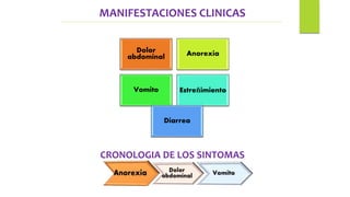 CRONOLOGIA DE LOS SINTOMAS
MANIFESTACIONES CLINICAS
Dolor
abdominal Anorexia
Vomito Estreñimiento
Diarrea
 