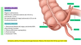 Comprehensive Overview of Appendicitis: Anatomy, Diagnosis, and ...