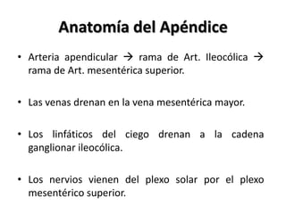 Anatomía del Apéndice
• Arteria apendicular  rama de Art. Ileocólica 
  rama de Art. mesentérica superior.

• Las venas ...