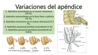 Apendicitis, definicion, epidemiologia, fases y escalas diagnosticas | PPTX