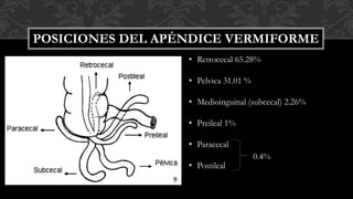 Apendicitis Patologia Quirurgica Final PPTX