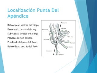Apendicitis teminada.pptx.......................... | PPTX