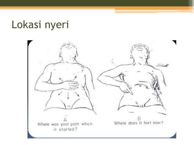 DEFANS MUSCULAR ADALAH EPUB DEFANS MUSCULAR ADALAH EPUB