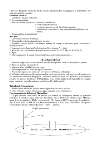 25
e para fora do epitélio celular do intestino médio influenciando a absorção passiva de nutrientes por
meio da parede do intestino.
Glândulas salivares:
1) Umedecer e amaciar o alimento.
2) Solvente para açúcar.
3) Meio de enzimas digestivas: * amilases (carboidratos).
* invertases (carboidratos).
* pectinases (pectina, parede das células vegetais).
* hialuronidase (predadores – para dissolver conteúdo interno das
presas).
4) Anticoagulante (anticuagulina).
Nutrição:
1) Carboidratos: recurso de energia.
2) Aminoácidos: estrutura de proteínas e enzimas.
3) Lipídeos: energia química, hormônios, estoque de energia e colesterol para crescimento e
desenvolvimento.
4) Vitaminas: especificas funções fisiológicas. Ex.: vitamina A – visão.
5) Minerais: para crescimento e desenvolvimento normal. Ex.: K, P, Mg, Na. Ca. Cu e Zn.
6) Água.
7) Microorganismos: levedura, fungos, bactérias e protozoários (simbiontes).
12 – EXCREÇÃO
1) Remover subprodutos do metabolismo: excretas nitrogenadas resultado da quebra da proteína.
2) Remover material não digestível.
3) Manutenção do equilíbrio de água e sais.
4) Intestino posterior é o principal órgão de excreção.
5) As excretas líquidos são removidos por meio dos túbulos de Malpighian.
6) Nefrócitos: células especializadas em quebrar partículas grandes o suficiente para não penetrarem
nas paredes dos túbulos de Malpighian. Após essas moléculas terem sido quebradas, poderão então
penetrar nas paredes dos túbulos de Malpighian. Essas células podem estar localizadas no coração,
corpo gorduroso, glândulas salivares ou esôfago, além da hemolinfa.
Túbulos de Malpighian:
1) Situados entre o intestino médio e posterior por meio da válvula pilórica.
2) Urina primária: excretas nitrogenadas, água, açucares, sais e aminoácidos.
Funcionamento dos Túbulos de Malpighian:
K por processo ativo entre no interior dos túbulos de Malpighian (bomba de potássio)
permitindo a entrada da água, urato (sais de amônia) e CO2. Dentro dos túbulos ocorre: KH urato
(urato ácido de potássio) + H2O e com reação do CO2 forma-se KHCO3 (carbonato de potássio) +
H2O + ácido úrico. O KHCO3 + H2O saem do túbulo e o ácido úrico (não solúvel em água) é
conduzido por meio do intestino posterior → ânus → exterior.
KURATO + H20 KHCO3 + H20 + ÁCIDO ÚRICO
CO2
K
URATO
H20
(passivamente)
 