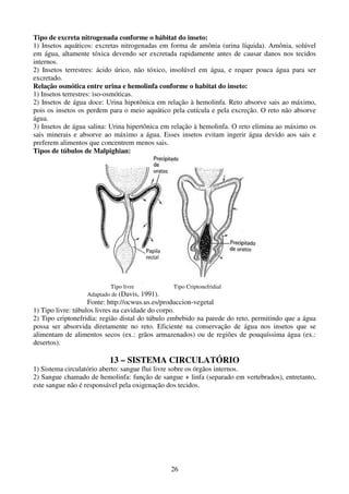 26
Tipo de excreta nitrogenada conforme o hábitat do inseto:
1) Insetos aquáticos: excretas nitrogenadas em forma de amônia (urina líquida). Amônia, solúvel
em água, altamente tóxica devendo ser excretada rapidamente antes de causar danos nos tecidos
internos.
2) Insetos terrestres: ácido úrico, não tóxico, insolúvel em água, e requer pouca água para ser
excretado.
Relação osmótica entre urina e hemolinfa conforme o habitat do inseto:
1) Insetos terrestres: iso-osmóticas.
2) Insetos de água doce: Urina hipotônica em relação à hemolinfa. Reto absorve sais ao máximo,
pois os insetos os perdem para o meio aquático pela cutícula e pela excreção. O reto não absorve
água.
3) Insetos de água salina: Urina hipertônica em relação à hemolinfa. O reto elimina ao máximo os
sais minerais e absorve ao máximo a água. Esses insetos evitam ingerir água devido aos sais e
preferem alimentos que concentrem menos sais.
Tipos de túbulos de Malpighian:
Tipo livre Tipo Criptonefridial
Adaptado de (Davis, 1991).
Fonte: http://ocwus.us.es/produccion-vegetal
1) Tipo livre: túbulos livres na cavidade do corpo.
2) Tipo criptonefridia: região distal do túbulo embebido na parede do reto, permitindo que a água
possa ser absorvida diretamente no reto. Eficiente na conservação de água nos insetos que se
alimentam de alimentos secos (ex.: grãos armazenados) ou de regiões de pouquíssima água (ex.:
desertos).
13 – SISTEMA CIRCULATÓRIO
1) Sistema circulatório aberto: sangue flui livre sobre os órgãos internos.
2) Sangue chamado de hemolinfa: função de sangue + linfa (separado em vertebrados), entretanto,
este sangue não é responsável pela oxigenação dos tecidos.
 