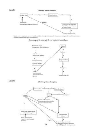 38
Caso 3:
Caso 4:
Rhodnius prolixus (Hemiptera)
Corpora Allata
Fêmeas produzem ovos
a cada ciclo de alimentação
de sangue
HJ Corpo Gorduroso
VitelogêneseOvário
Ovos
Esticamento dos
Ovidutos
Produção de ecditeróides
(emite mensagem para o cérebro
que é necessário ovipositar)
Cérebro
Dilatação do abdome devido
a ingestão de sangue
Gera estímulo para produção
do Hormônio Oostático (antagoniza
ação do HJ, parando todo o processo)
+ +
+
+
+
++
+
+
+
+
+
+Negativo
+
Esquema geral de maturação de ovos em insetos hematófagos
Nutriente no sangue
(fonte protéica para vitelogênese)
Estímulo
(dilatação do abdome)
Corpora Cardíaca
EDNH
(neurohormônio
de desenvolvimento
do ovo)
Ovários
Ecdisona
Corpo Gorduroso
Maturação do ovo
Vitelogênese
+
+
+
+
+
+
+
+
Diploptera punctata (Blattaria)
Corpora Allata
Acasalamento
(efeito mecânico na Bursa Copulatrix)
+
HJ Corpo Gorduroso Vitelogênese
Ovários (ovos são produzidos,
Fecundados e desenvolvem-se
no corpo da fêmea)
Produção de ecdisteróides
+ + +
+
+
Negativo
Quando ocorre o rompimento dos ovos e as ninfas eclodem, alivia a pressão no corpo da fêmea, fazendo com que o Corpora Allata se torne ativo
novamente, iniciando-se um novo ciclo reprodutivo.
 