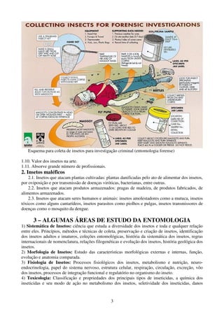 3
Esquema para coleta de insetos para investigação criminal (entomologia forense)
1.10. Valor dos insetos na arte.
1.11. Absorve grande número de profissionais.
2. Insetos maléficos
2.1. Insetos que atacam plantas cultivadas: plantas danificadas pelo ato de alimentar dos insetos,
por oviposição e por transmissão de doenças viróticas, bacterianas, entre outras.
2.2. Insetos que atacam produtos armazenados: pragas de madeira, de produtos fabricados, de
alimentos armazenados.
2.3. Insetos que atacam seres humanos e animais: insetos amolestadores como a mutuca, insetos
tóxicos como alguns cantarídeos, insetos parasitos como piolhos e pulgas, insetos transmissores de
doenças como o mosquito da dengue.
3 – ALGUMAS ÁREAS DE ESTUDO DA ENTOMOLOGIA
1) Sistemática de Insetos: ciência que estuda a diversidade dos insetos e toda e qualquer relação
entre eles. Princípios, métodos e técnicas de coleta, preservação e criação de insetos, identificação
dos insetos adultos e imaturos, coleções entomológicas, história da sistemática dos insetos, regras
internacionais de nomenclatura, relações filogenéticas e evolução dos insetos, história geológica dos
insetos.
2) Morfologia de Insetos: Estudo das características morfológicas externas e internas, função,
evolução e anatomia comparada.
3) Fisiologia de Insetos: Processos fisiológicos dos insetos, metabolismo e nutrição, neuro-
endocrinologia, papel do sistema nervoso, estrutura celular, respiração, circulação, excreção, vôo
dos insetos, processos de integração funcional e regulatório no organismo do inseto.
4) Toxicologia: Classificação e propriedades dos principais tipos de inseticidas, a química dos
inseticidas e seu modo de ação no metabolismo dos insetos, seletividade dos inseticidas, danos
 