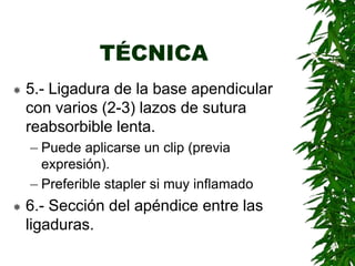 TÉCNICA
 5.- Ligadura de la base apendicular
con varios (2-3) lazos de sutura
reabsorbible lenta.
– Puede aplicarse un clip (previa
expresión).
– Preferible stapler si muy inflamado
 6.- Sección del apéndice entre las
ligaduras.
 