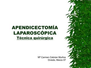 APENDICECTOMÍA
LAPAROSCÓPICA
Técnica quirúrgica
Mª Carmen Cebrian Muiños
Oviedo, Marzo 07
 