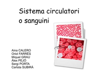 Sistema circulatori o sanguini Aina CALERO Oriol FARRÉS Miquel GRAU Àlex PEJÓ Sergi PORTA Carlota SUBIRÀ 