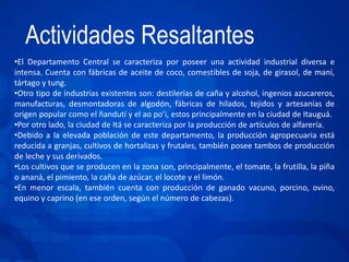 Actividades Resaltantes 
•El Departamento Central se caracteriza por poseer una actividad industrial diversa e 
intensa. Cuenta con fábricas de aceite de coco, comestibles de soja, de girasol, de maní, 
tártago y tung. 
•Otro tipo de industrias existentes son: destilerías de caña y alcohol, ingenios azucareros, 
manufacturas, desmontadoras de algodón, fábricas de hilados, tejidos y artesanías de 
origen popular como el ñandutí y el ao po’i, estos principalmente en la ciudad de Itauguá. 
•Por otro lado, la ciudad de Itá se caracteriza por la producción de artículos de alfarería. 
•Debido a la elevada población de este departamento, la producción agropecuaria está 
reducida a granjas, cultivos de hortalizas y frutales, también posee tambos de producción 
de leche y sus derivados. 
•Los cultivos que se producen en la zona son, principalmente, el tomate, la frutilla, la piña 
o ananá, el pimiento, la caña de azúcar, el locote y el limón. 
•En menor escala, también cuenta con producción de ganado vacuno, porcino, ovino, 
equino y caprino (en ese orden, según el número de cabezas). 
 