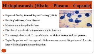 Histoplasmosis (Histio – Plasmo – Capsule)
3
 Reported first by Samuel Taylor Darling (1905).
 Darling’s disease. Cave disease.
 Most common fungal infections.
 Distributed worldwide but most common in America.
 The ecological niche of H. capsulatum is in chicken houses and bat guano.
 Typically, patient will have spread chicken manure around his garden and 3 weeks
later will develop pulmonary infection.
 