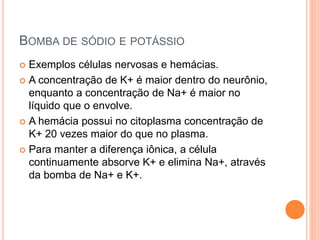 BOMBA DE SÓDIO E POTÁSSIO
 Exemplos células nervosas e hemácias.
 A concentração de K+ é maior dentro do neurônio,
enquanto a concentração de Na+ é maior no
líquido que o envolve.
 A hemácia possui no citoplasma concentração de
K+ 20 vezes maior do que no plasma.
 Para manter a diferença iônica, a célula
continuamente absorve K+ e elimina Na+, através
da bomba de Na+ e K+.
 