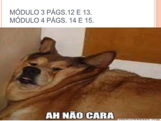 MÓDULO 3 PÁGS.12 E 13.
MÓDULO 4 PÁGS. 14 E 15.
 