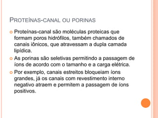 PROTEÍNAS-CANAL OU PORINAS
 Proteínas-canal são moléculas proteicas que
formam poros hidrófilos, também chamados de
canais iônicos, que atravessam a dupla camada
lipídica.
 As porinas são seletivas permitindo a passagem de
íons de acordo com o tamanho e a carga elétrica.
 Por exemplo, canais estreitos bloqueiam íons
grandes, já os canais com revestimento interno
negativo atraem e permitem a passagem de íons
positivos.
 