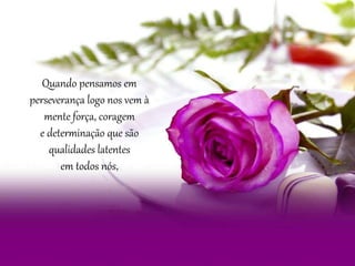 Quando pensamos em
perseverança logo nos vem à
mente força, coragem
e determinação que são
qualidades latentes
em todos nós,