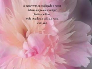 A perseverança está ligada a nossa
determinação em alcançar
objetivos sólidos,
onde toda luta é válida e nada
é em vão,