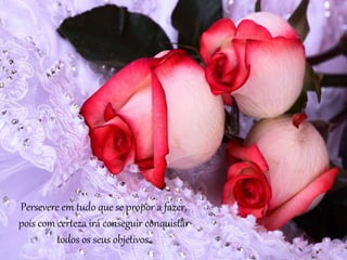 Persevere em tudo que se propor a fazer,
pois com certeza irá conseguir conquistar
todos os seus objetivos.