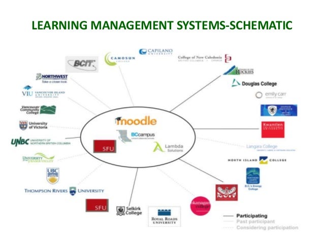 A perspective on the learning management system