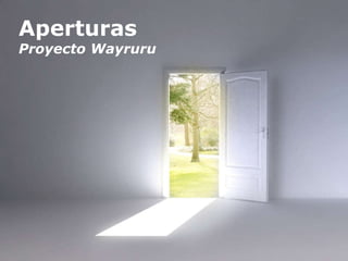 Aperturas Proyecto Wayruru 