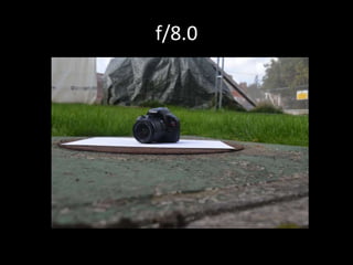 f/8.0 
 