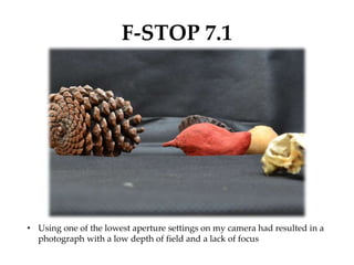 F-STOP 7.1
• Using one of the lowest aperture settings on my camera had resulted in a
photograph with a low depth of field and a lack of focus