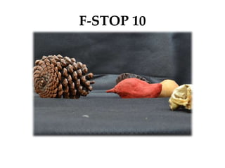F-STOP 10