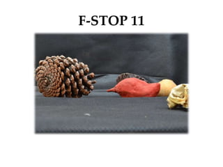 F-STOP 11