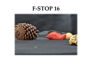 F-STOP 16