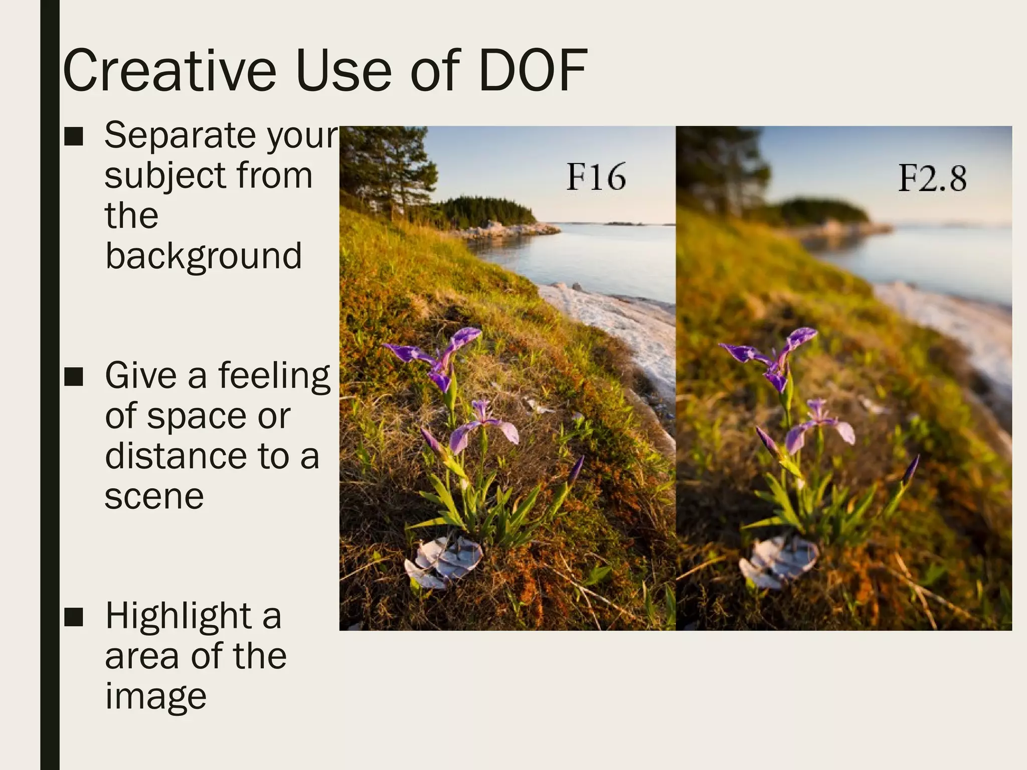 Creative Use of DOF
■ Separate your
subject from
the
background
■ Give a feeling
of space or
distance to a
scene
■ Highlight a
area of the
image
 