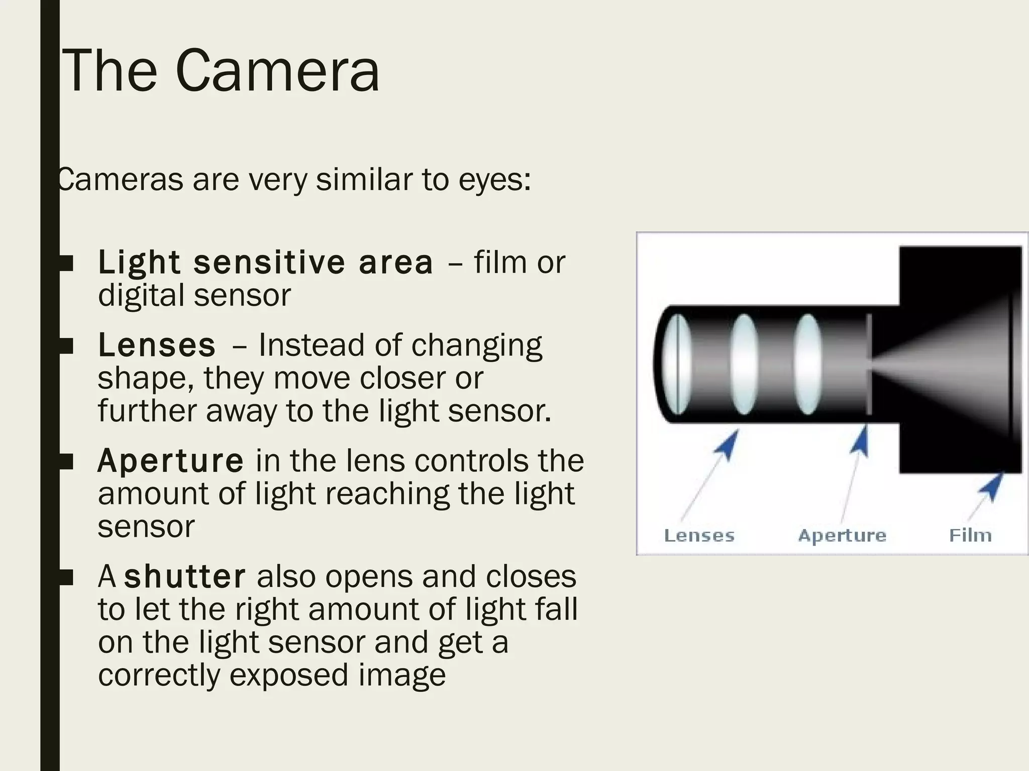 The Camera
Cameras are very similar to eyes:
■ Light sensitive area – film or
digital sensor
■ Lenses – Instead of changing
shape, they move closer or
further away to the light sensor.
■ Aperture in the lens controls the
amount of light reaching the light
sensor
■ A shutter also opens and closes
to let the right amount of light fall
on the light sensor and get a
correctly exposed image
 