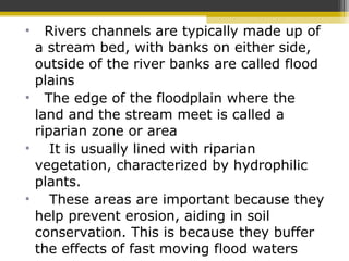 • Rivers channels are typically made up of
a stream bed, with banks on either side,
outside of the river banks are called flood
plains
• The edge of the floodplain where the
land and the stream meet is called a
riparian zone or area
• It is usually lined with riparian
vegetation, characterized by hydrophilic
plants.
• These areas are important because they
help prevent erosion, aiding in soil
conservation. This is because they buffer
the effects of fast moving flood waters
 