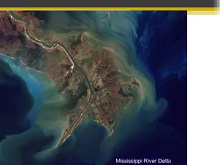 Mississippi River Delta
 