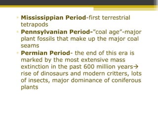 ▫ Mississippian Period-first terrestrial
tetrapods
▫ Pennsylvanian Period-”coal age”-major
plant fossils that make up the major coal
seams
▫ Permian Period- the end of this era is
marked by the most extensive mass
extinction in the past 600 million years
rise of dinosaurs and modern critters, lots
of insects, major dominance of coniferous
plants
 