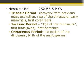 • Mesozoic Era 252-65.5 MYA
▫ Triassic Period –recovery from previous
mass extinction, rise of the dinosaurs, early
mammals, first coral reefs
▫ Jurassic Period – “Age of the Dinosaurs”,
first birds(aves), first parasites
▫ Cretaceous Period- extinction of the
dinosaurs, birth of the angiosperms
 