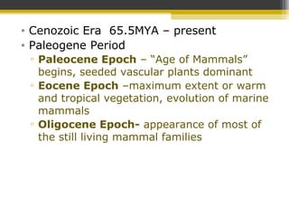 • Cenozoic Era 65.5MYA – present
• Paleogene Period
▫ Paleocene Epoch – “Age of Mammals”
begins, seeded vascular plants dominant
▫ Eocene Epoch –maximum extent or warm
and tropical vegetation, evolution of marine
mammals
▫ Oligocene Epoch- appearance of most of
the still living mammal families
 