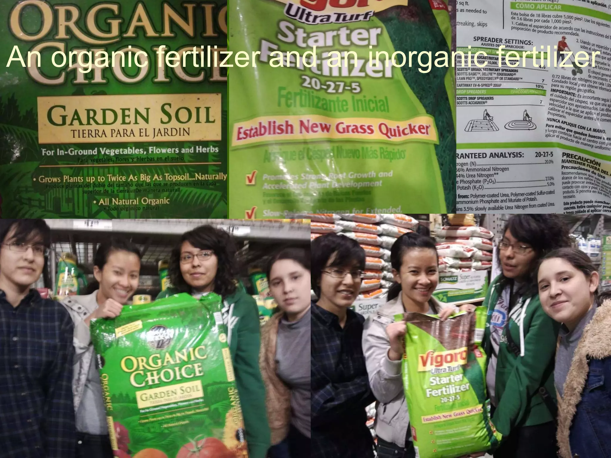 An organic fertilizer and an inorganic fertilizer  