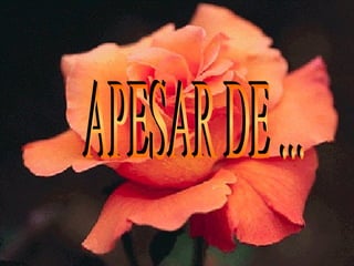 APESAR DE ... 