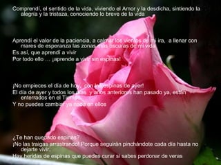 Comprendí, el sentido de la vida, viviendo el Amor y la desdicha, sintiendo la alegría y la tristeza, conociendo lo breve de la vida Aprendí el valor de la paciencia, a calmar los vientos de mi ira,  a llenar con mares de esperanza las zonas más oscuras de mi vida Es así, que aprendí a vivir Por todo ello … ¡aprende a vivir sin espinas! ¡No empieces el día de hoy,  con las espinas de ayer! El día de ayer y todos los días  y años anteriores han pasado ya, están enterrados en el Tiempo. Y no puedes cambiar ya nada en ellos ¿Te han quedado espinas? ¡No las traigas arrastrando! Porque seguirán pinchándote cada día hasta no dejarte vivir. Hay heridas de espinas que puedes curar si sabes perdonar de veras 