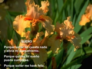 SUEÑO Porque soñar no cuesta nada y alivia mi pensamiento. Porque quizás mi sueño pueda cumplirse. Porque soñar me hace feliz. 